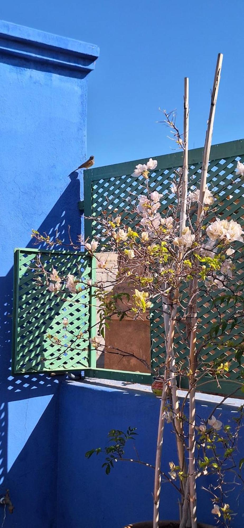 Riad Med Agora Marrakesch Exterior foto